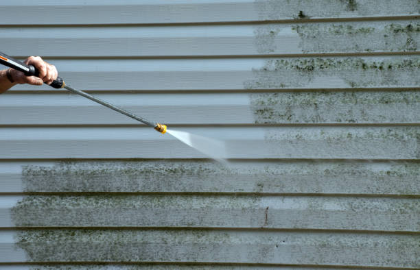 Boat and Dock Cleaning in Lakeland, TN